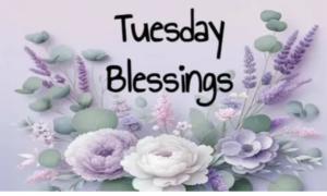 Tuesday Morning Blessings
