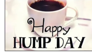 Quotes on Hump Day