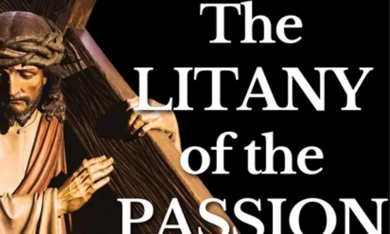 Litany of Humility PDF