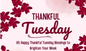 Tuesday Morning Blessings