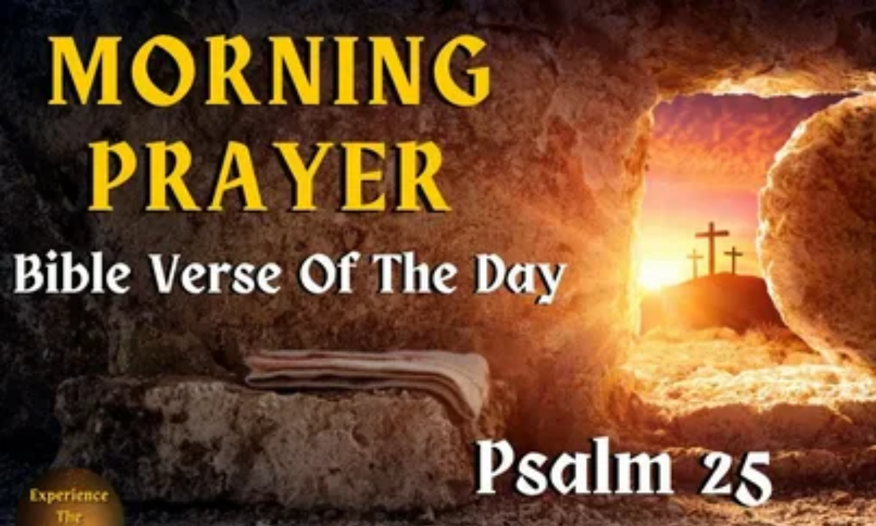 Wednesday Bible Quotes